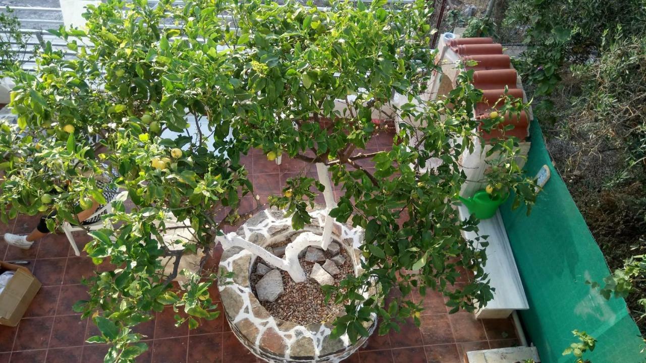 Laskas Apartment Stalís Ngoại thất bức ảnh